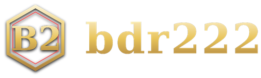 bdr222 logo